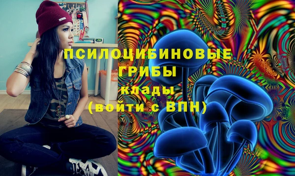 стафф Баксан