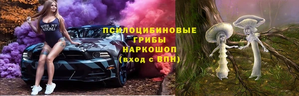 трава Балахна