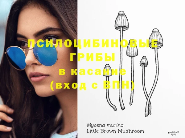 стафф Баксан