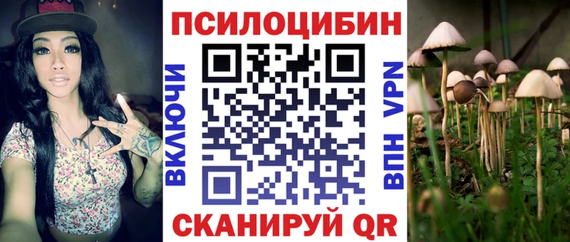 kraken ТОР  Красный Холм  Псилоцибиновые грибы мухоморы 